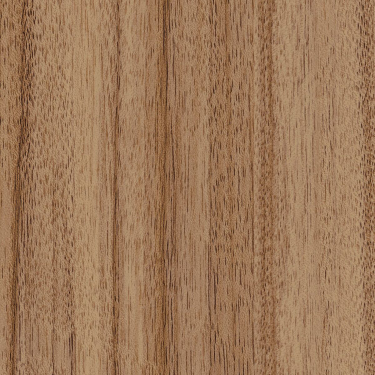 Trespa French Walnut W14